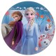 05009AR disc vafa Anna si Elsa Frozen 2 D20cm